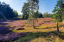 2021_2_3_Hohe-Waardt