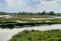 2023_2_2_Biesbosch4