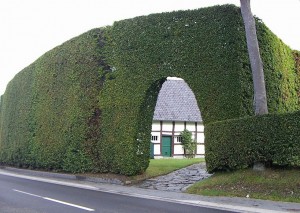 Monschauer Heckenland