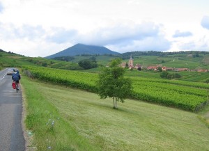 vor uns der Mont St. Odile