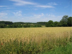 Sundgau
