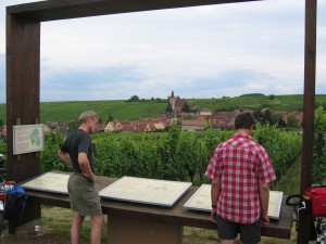Weinkunde am Wegesrand