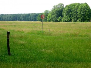 Fahrverbot - wofür?