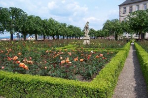 Bamberg Rosengarten oben am Schloss