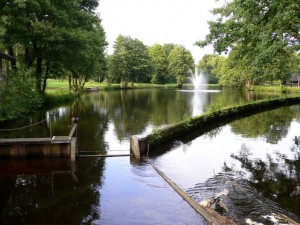 Mühlenteich in Sittensen