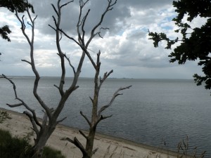Blick über den Greifswalder Bodden