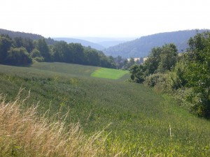 Odenwald-Einsamkeit in der Nähe von Höchst