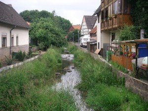 Auch eine Elbe - hier in Züschen nördlich von Fritzlar