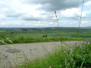 Blick vom Örtchen Fürstenberg über die Baar