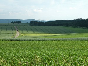 bei Empfingen