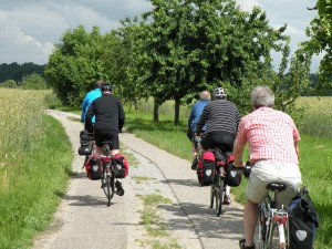 in der Rheinebene Heidelberg entgegen