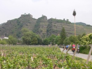  Weinberge bis hoch zur Saffenburg bei Maischoß