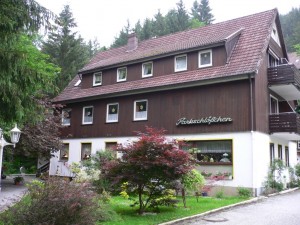 unser Hotel in Wildemann, das Parkschlösschen