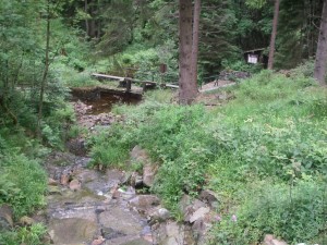 Morgenbrodsthaler Graben als wesentlicher Bestandteil des Harzer Wasserregals