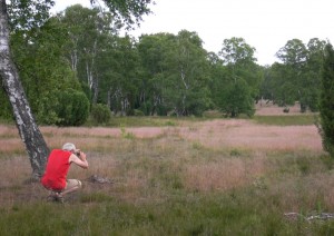 Bokeler Heide mit Karl