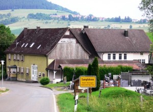 Sumpfohren; oberhalb des Ortes ist Fürstenberg zu erkennen