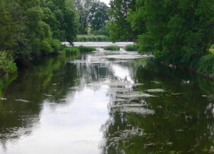 Donau bei Neudingen (Donaueschingen)