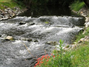 Unstrut-Stromschnellen