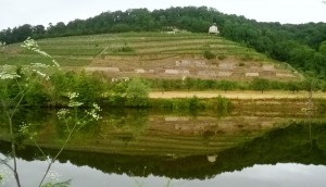 Saale bei Goseck mit Dechanten-Weinberg
