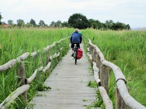 durch die "Rohrlache"
