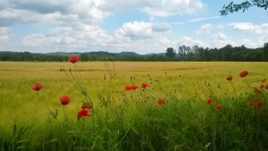 hinter Creuzburg