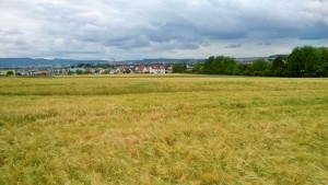 vor Kassel