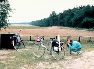 immer noch die Hooge Veluwe