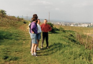 Abendspaziergang durch die Weinberge