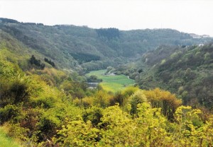 waldreicher Hunsrück