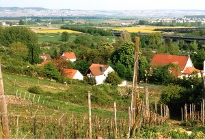 Blick von der Trollmühle in Münster-Sarmsheim ins Nahetal