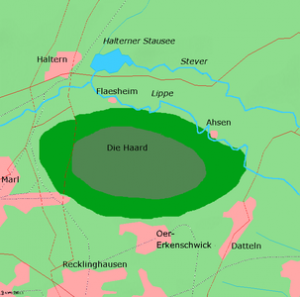 Die Haard ist eine etwa 55 km² große und bis 156,9 m ü. NHN hoch gelegene Hügellandschaft aus Sandstein im Naturpark Hohe Mark-Westmünsterland im Norden des Kreises Recklinghausen.