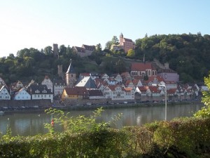 Blick auf Hirschorn über den Neckar