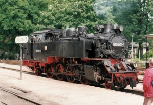 die Molli in ihrer ganzen Pracht