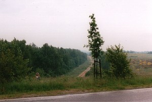 ehemalige Grenze in der Nähe von Lübeck