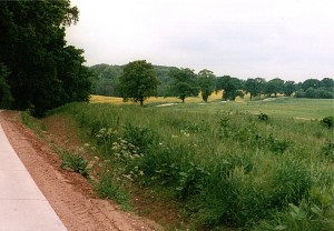 1994_5_grüne_Landschaft