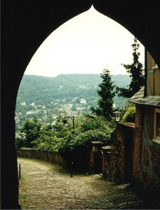 Blick vom Marburger Schloss ins Tal