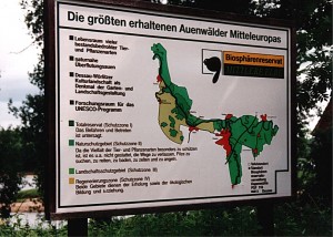 Hinweistafel zum Biosphärenreservat Mittlere Elbe