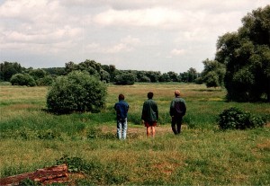 gestaltete Landschaft zwischen Dessau und Wörlitz