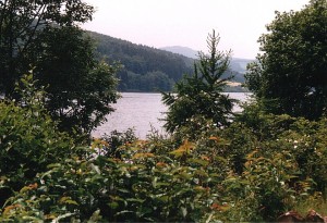 Diemelsee