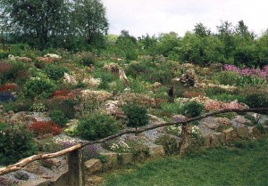 Naturgarten im Schwalmtal