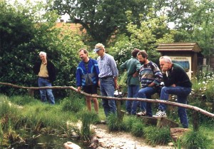 am Froschteich im Naturgarten im Schwalmtal