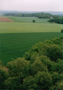 Blick vom Aussichtsturm in der Sonsbecker Schweiz