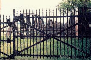 Reste der alten Eisenbahnbrücke über die Elbe nach Dömitz (DDR)