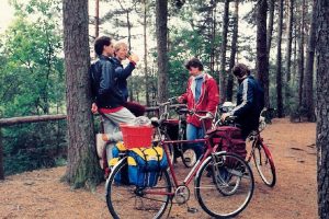 Rast im Wald