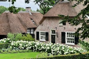 Hortensienpracht unterwegs