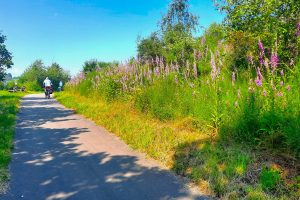 Massen von Fingerhüten haben uns begleitet