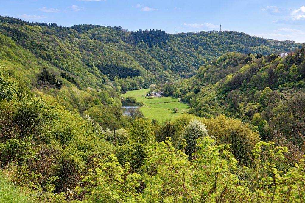 waldreicher Hunsrück