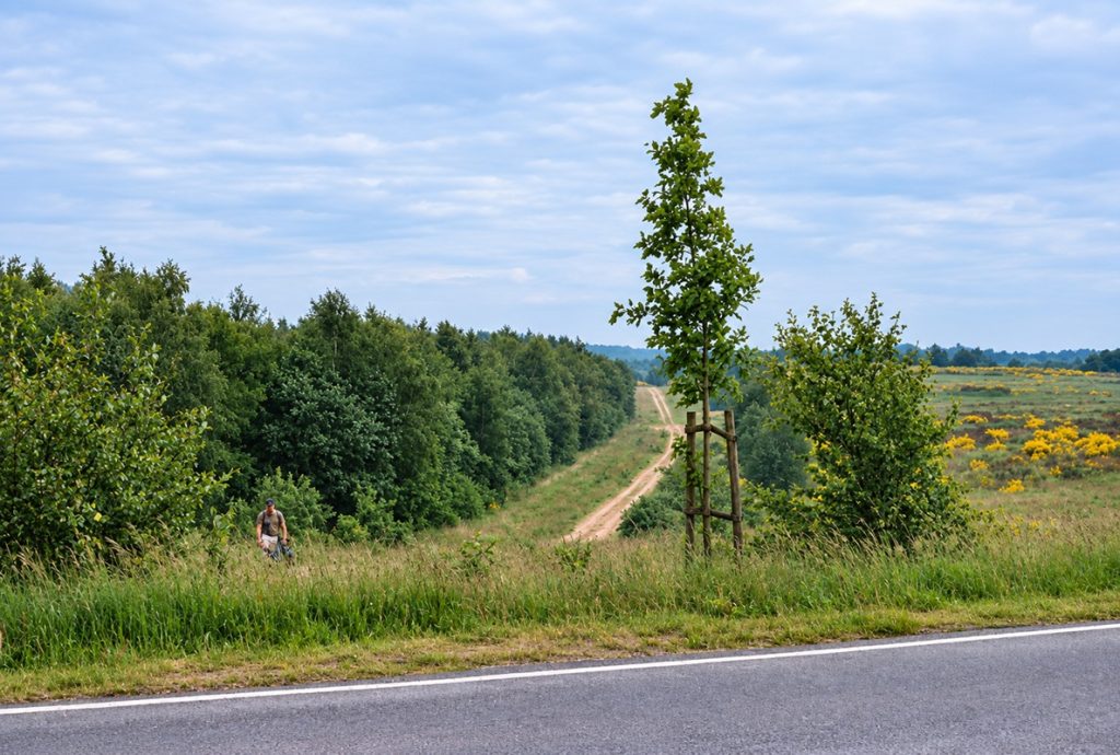 ehemalige Grenze in der Nähe von Lübeck