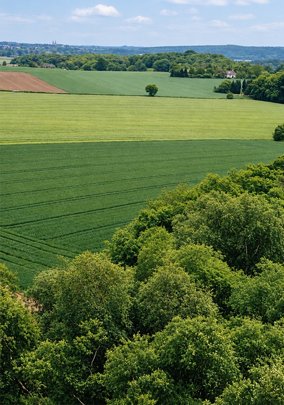 Blick vom Aussichtsturm in der Sonsbecker Schweiz