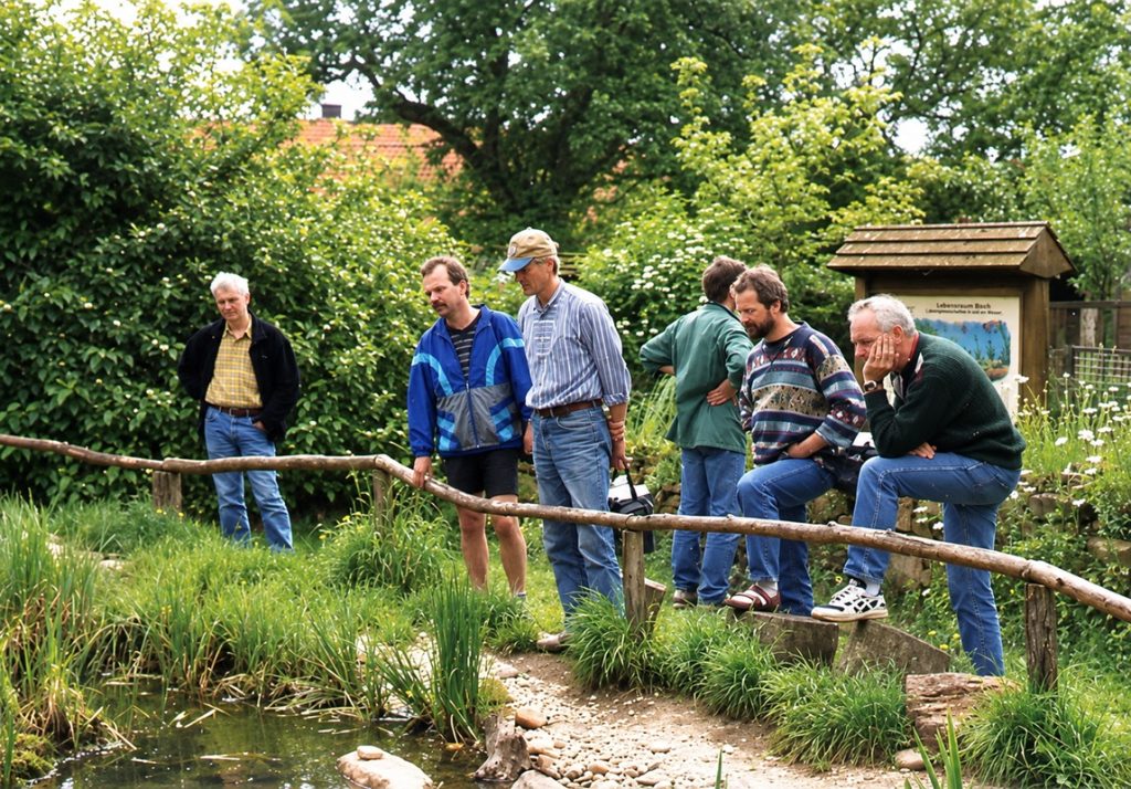am Froschteich im Naturgarten im Schwalmtal